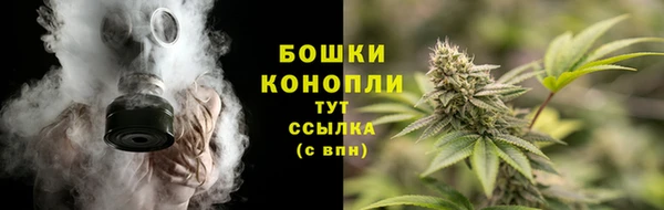 гашик Карпинск