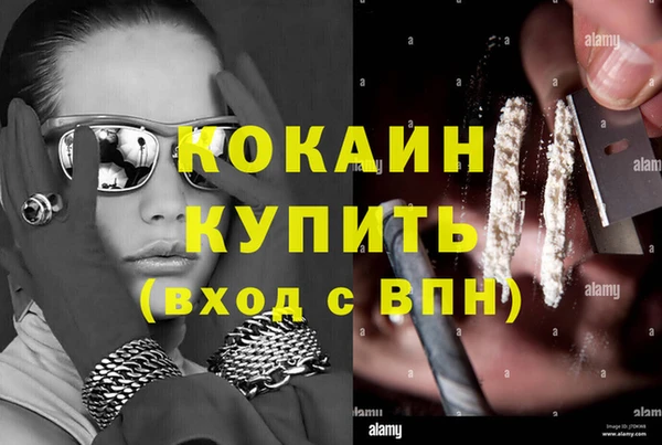 крисы Абаза