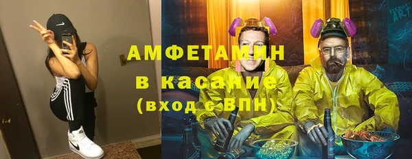 крисы Абаза
