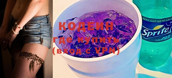 крисы Абаза