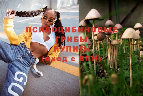 шишки Алексин